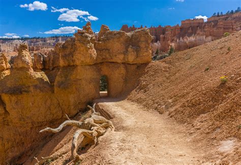 Hike Sunrise to Sunset at Bryce Canyon National Park