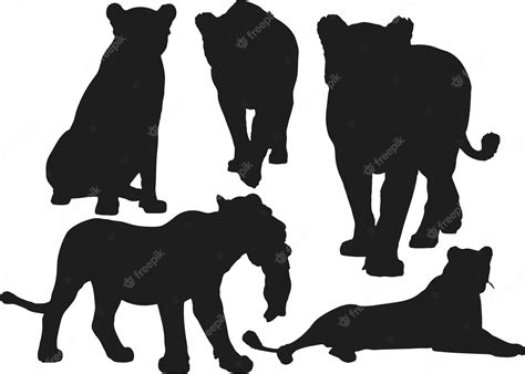 Premium Vector | Lion family silhouette. lion, lioness and lion cub in different poses.