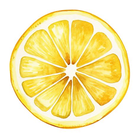 Watercolor Lemon Slice Clip Art, Watercolor, Hand, Draw PNG Transparent ...