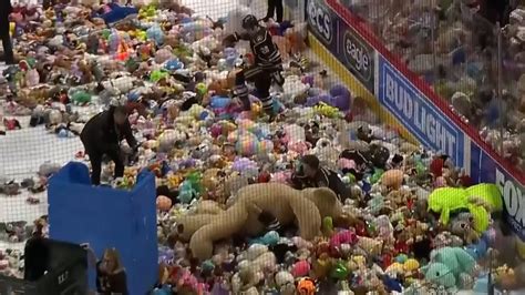 Teddy Bear Toss: Ice hockey fans throw 74,599 toys at Hershey Bears game | World News | Sky News