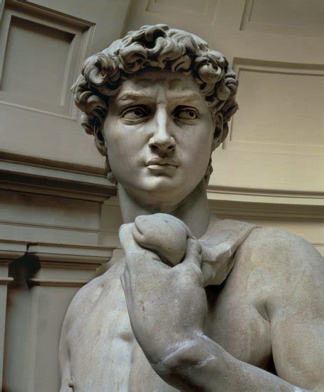 David, head of sculpture by Michelangelo - Michelangelo (Buonarroti) as ...