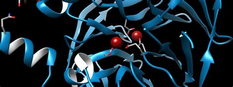 Structure and Function of Membrane Receptors | Biocev