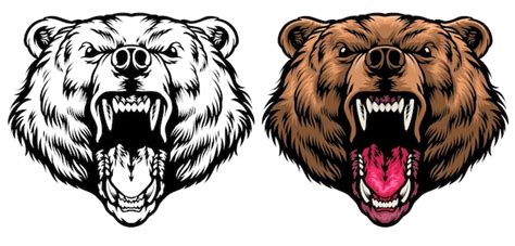 Bear Head Vector Clipart