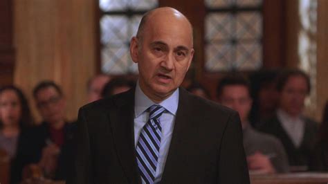 Who Did Ned Eisenberg Play On Law & Order: SVU?