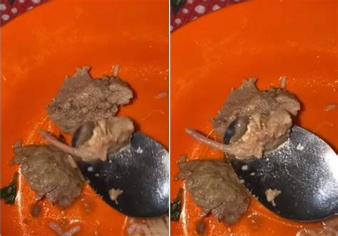 Makan Bakso Diduga dari Daging Tikus, saat Dibelah Muncul Bentuk Mirip Ekor, Publik: Mana Udah ...