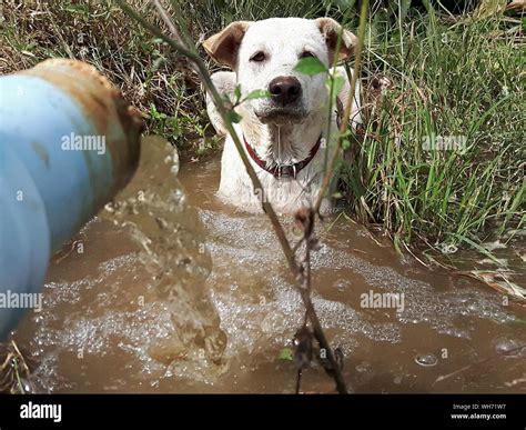 Long water pipe hi-res stock photography and images - Alamy