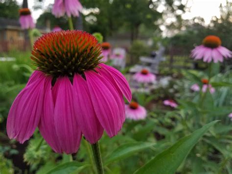 Earth Day: 5 Easy Ways to Celebrate - Sweeney's Custom Landscaping Inc