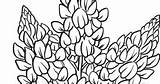 Download Our Printable Wildflower Coloring Pages sketch template