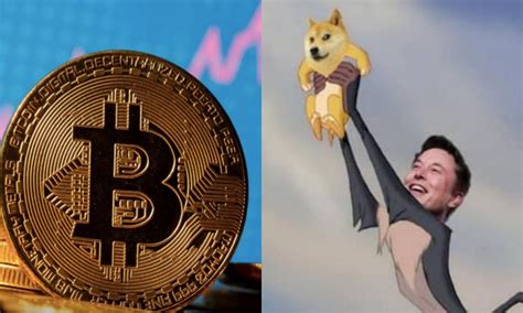 Dogecoin vs Bitcoin: Key Differences to Know