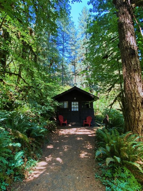 Tiny cabins in Silver Falls State Park, Oregon | Silver falls state park, State parks, Silver falls