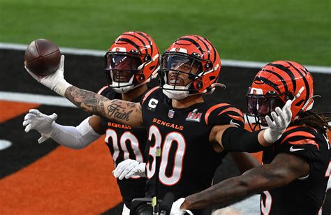 Cincinnati Bengals: Mythbusting narratives after Super Bowl trip