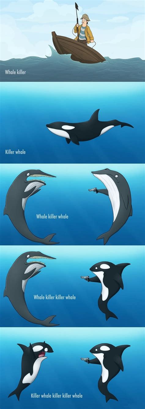 Killer Whale Orca Killer - Meme by Lucignolo :) Memedroid