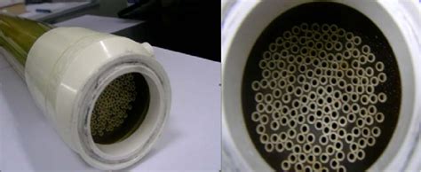 Hollow-fiber (HF) membrane module | Download Scientific Diagram