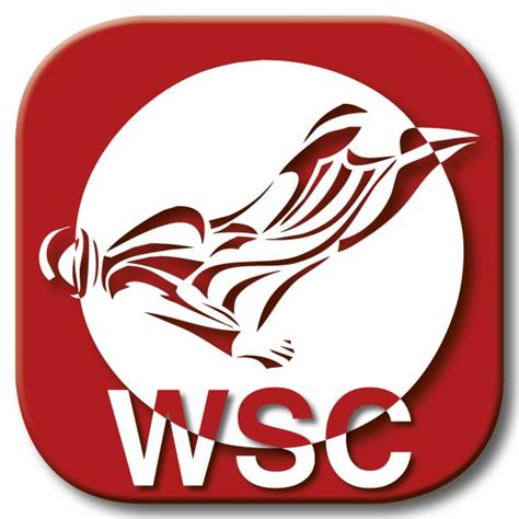 WSC Wing Suit CYPRES Logo - CYPRES