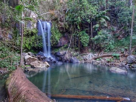 Guide to Mt Tamborine waterfalls incl. a map to plan your visit