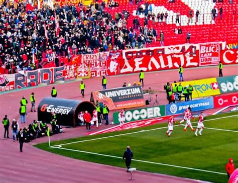 Red Star Belgrade - Stadium Museum Tour + Matchday Experience - Only By ...