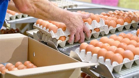 3 top tips for marketing eggs from the farm gate - Farmers Weekly