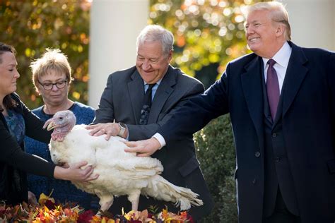 Gobble, gobble! Trump pardons Thanksgiving turkeys