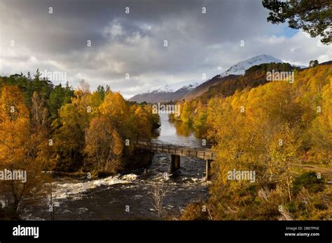 Autumn in Glen Affric, Highland Scotland Stock Photo - Alamy