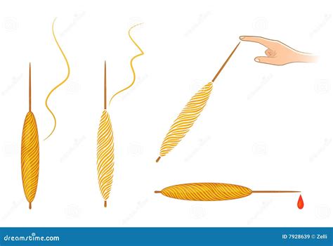 Spindle for Sleeping Beauty Stock Vector - Illustration of sharp, equipment: 7928639