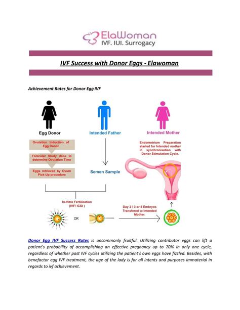 PPT - IVF Success with Donor Eggs - Elawoman PowerPoint Presentation ...