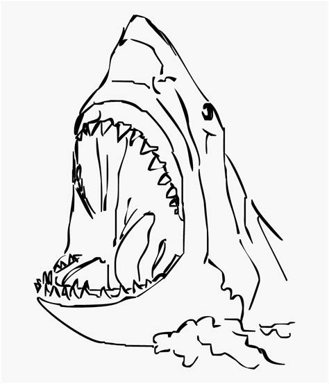 Drawing Sharks Easy Huge Freebie Download For Powerpoint - Simple Shark Head Drawing , Free ...