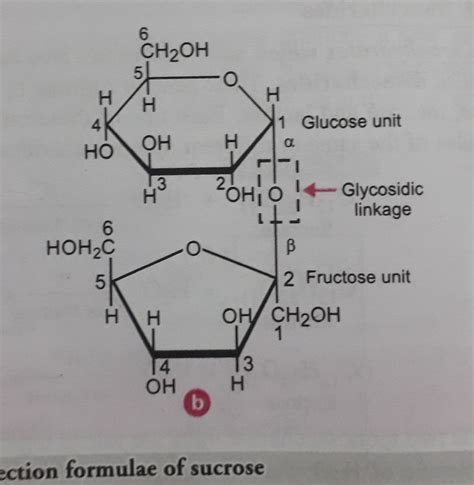 carbohydrates - Haworth projection of Sucrose - Chemistry Stack Exchange