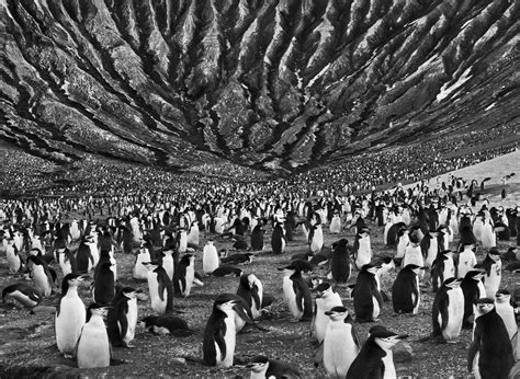 In the Beginnings: Sebastião Salgado's Genesis | Time