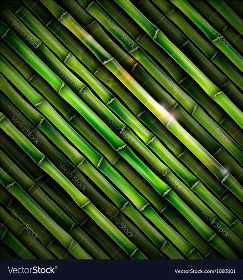 Background with bamboo Royalty Free Vector Image