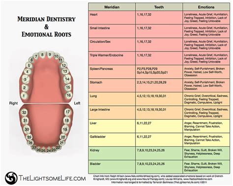 Meridian Tooth Chart. Source. Wilson and Williams (2011). | Download ...