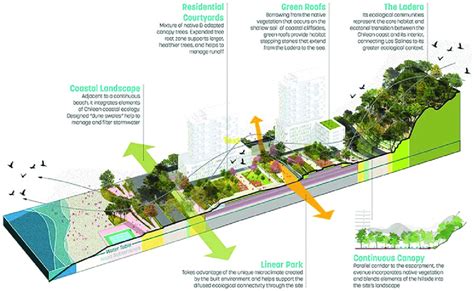 Las Salinas site plan facilitating ecological connectivity. Hillside ...