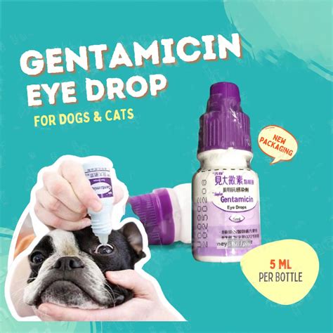 Gentamicin Eye Drops for Pet Cat Dogs Eye Infection treatment | Shopee ...