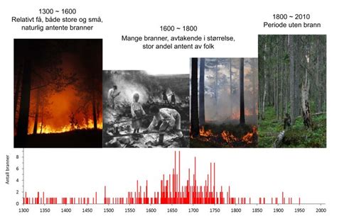 Fire-scarred trees record 700 years of natural and cultural fire ...