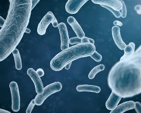 Nitrification - Chemtron Riverbend - Wastewater Treatment