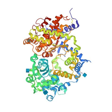 RCSB PDB - 6SVY: Crystal structure of Neprilysin in complex with Sampatrilat-ASP.