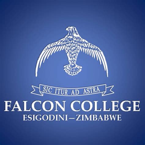 falcon-COLLEGE-ESIGODI - theZimbabweNewsLive