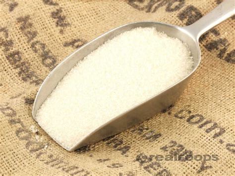 Organic Granulated Cane Sugar from Real Foods Buy Bulk Wholesale Online