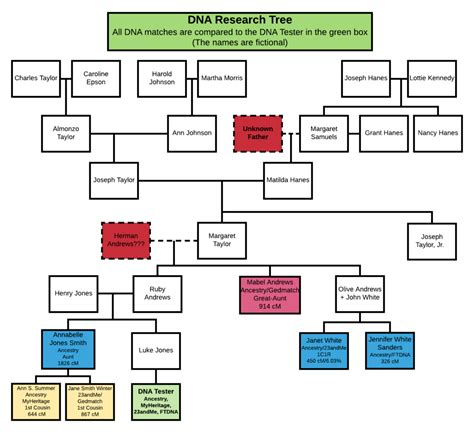 Descendancy Diagram Examples – Family Locket