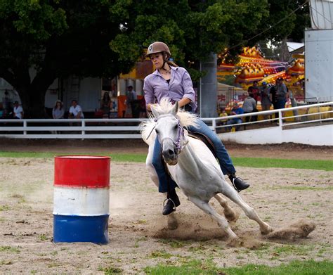 Horse Competition - Nowra Show Society