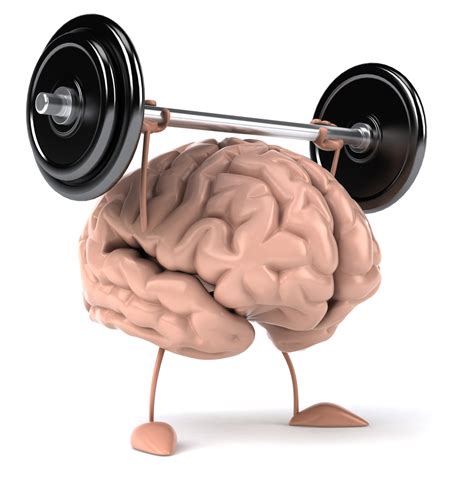 Study Finds Seniors Gain Long-Term Benefits from Brain Training Exercises - Cognitive ...