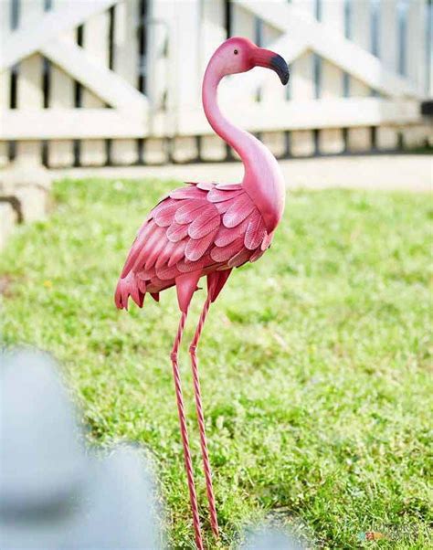 35" Metal Flamingo Lawn Decor | Southern Patio | Flamingo decor, Flamingo, Flamingo pictures