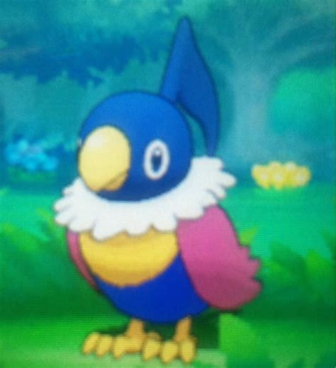 Found a shiny Chatot! : ShinyPokemon