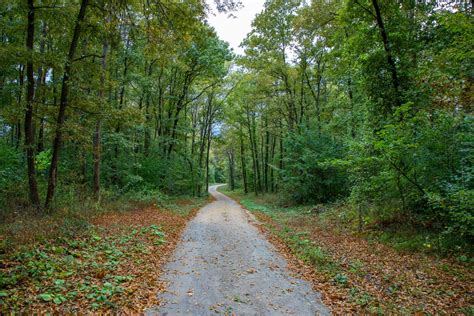 Shawnee State Park Horse Trails | Top Horse Trails | Top Horse Trails