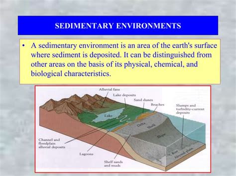 TYPES OF SEDIMENTARY ENVIRONMENTS.ppt