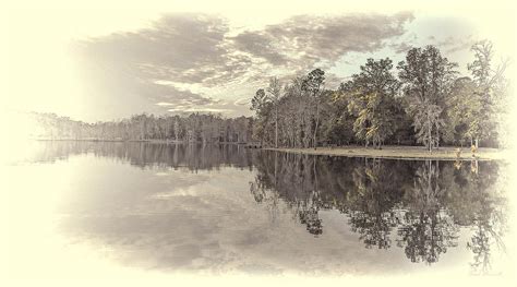 Old Mill Pond Photograph by Frank Maxwell