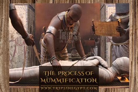 Ancient Egyptian Mummification