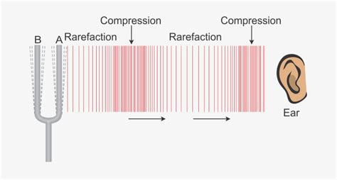 When These Waves Of Compression And Rarefactions Of - Diagram PNG Image | Transparent PNG Free ...