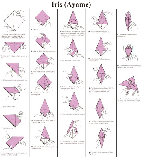 Origami Iris Diagram - titiandagung