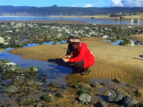 Tidepools in Cannon Beach Oregon