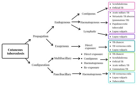 Antibiotics | Free Full-Text | Adapting Clofazimine for Treatment of Cutaneous Tuberculosis by ...